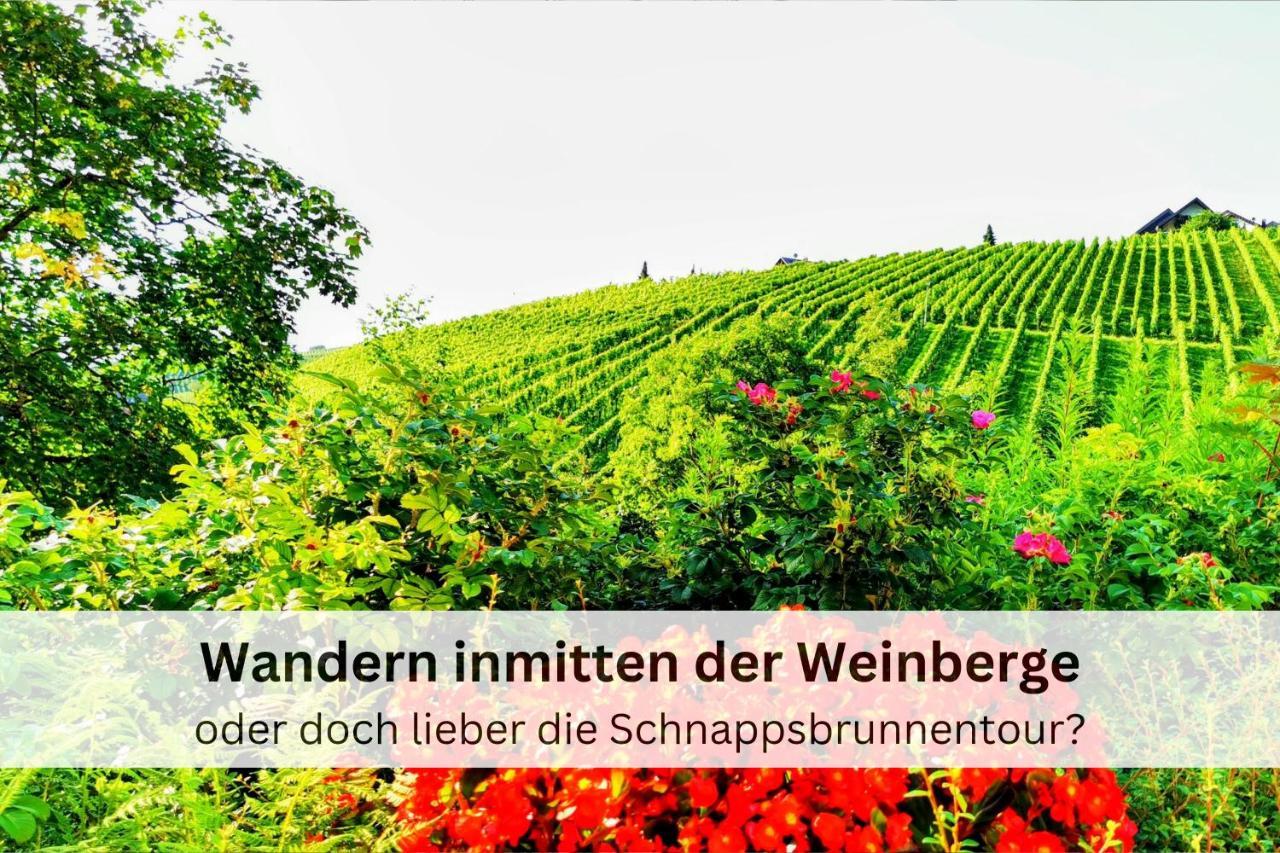 Black Forest Stay - Apartment Hirschperle ซัสบาควัลเดิน ภายนอก รูปภาพ